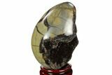 Septarian Dragon Egg Geode - Black Crystals #123026-1